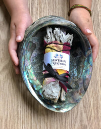 Thumbnail for Abalone Shell Smudge Bowl - Sentient Creations