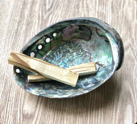 Thumbnail for Abalone Shell Smudge Bowl - Sentient Creations